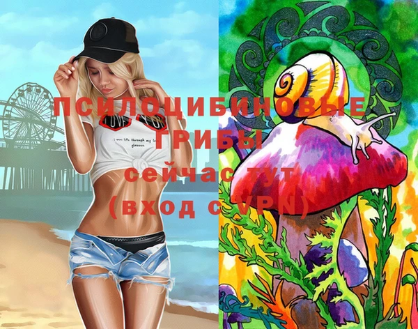 прущие грибы Алексеевка