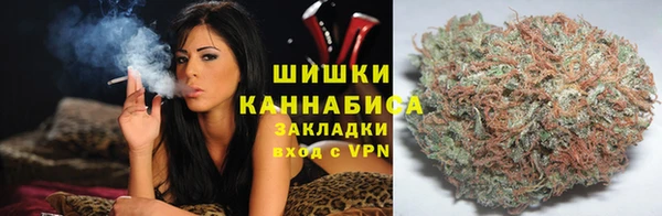 прущие грибы Алексеевка